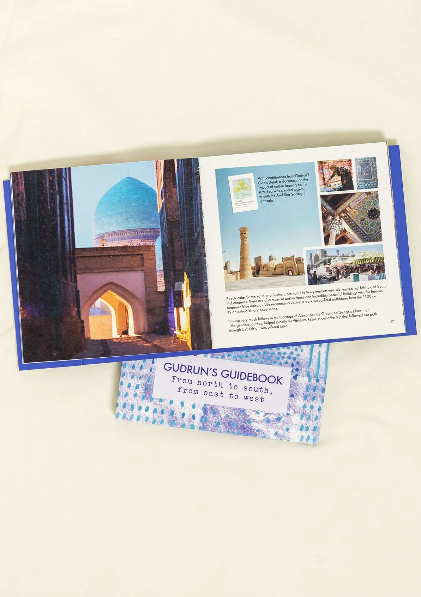 Gudruns Guidebok-Gudrun Sjödén Online